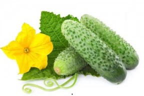 保定娱乐圈吃瓜系统,揭秘幕后风云，吃瓜群众狂欢盛宴